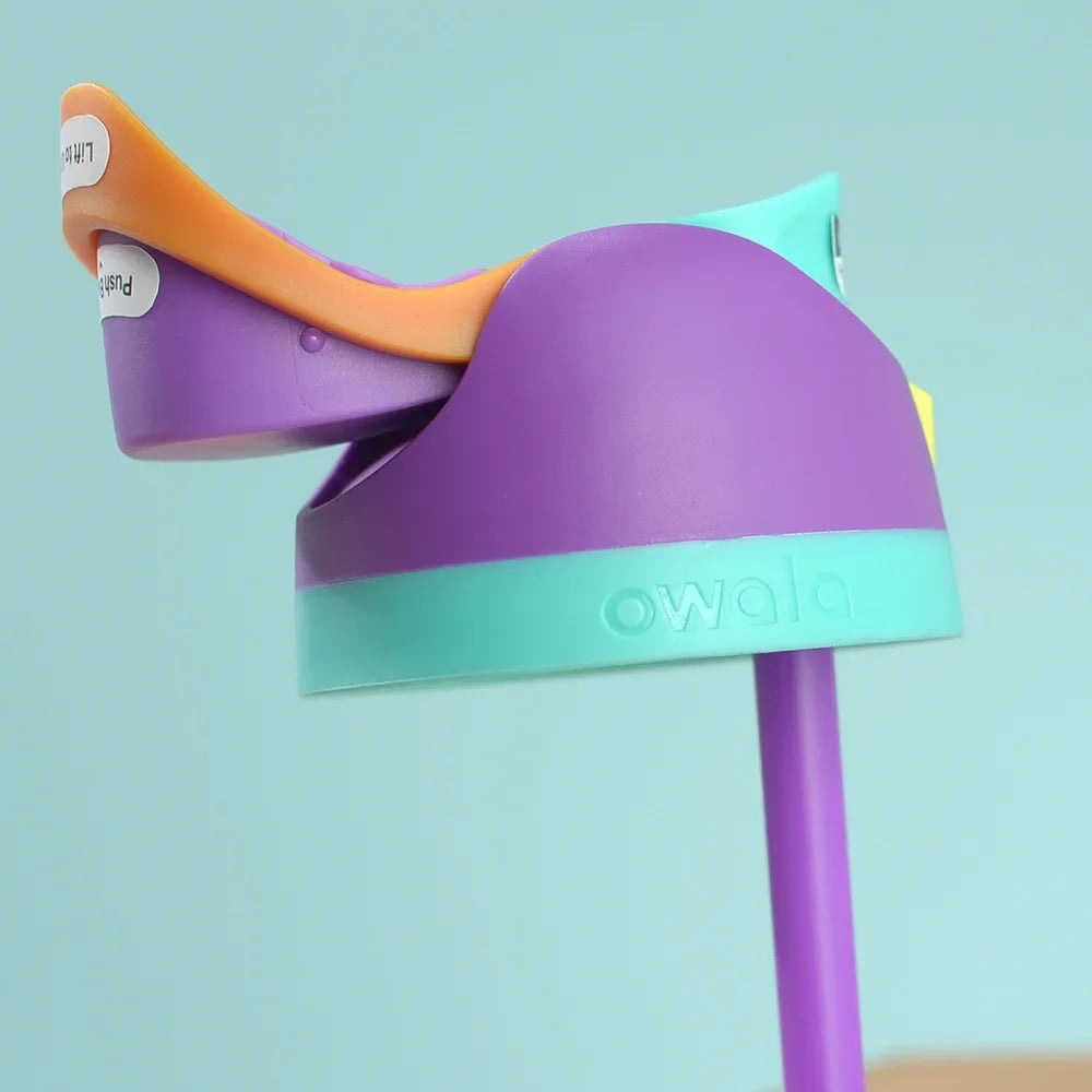 Owala FreeSip Adventure Bottle